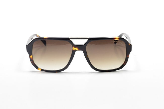 Lunettes de Soleil Homme Écaille Marron – Verres Dégradés UV400